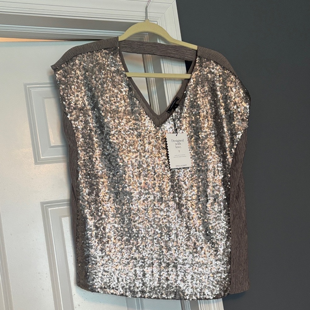 Stella & Dot Sequin V-Neck Top - Silver